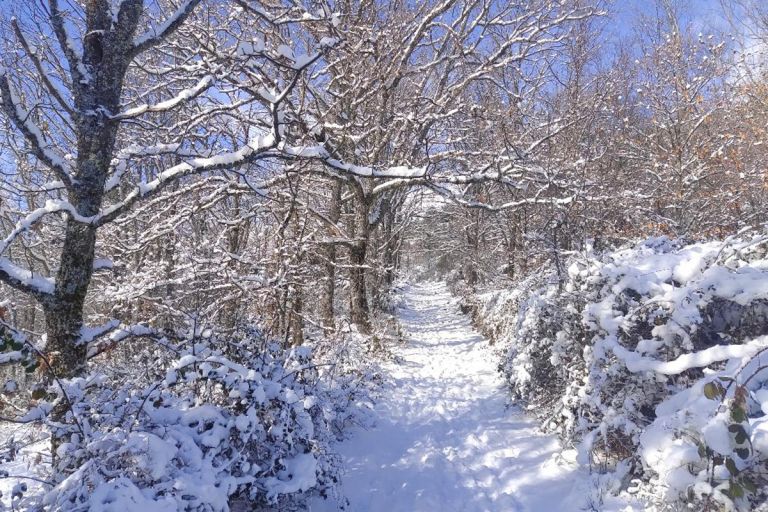 Entorno Valverde De Los Arroyos Alqueria 2