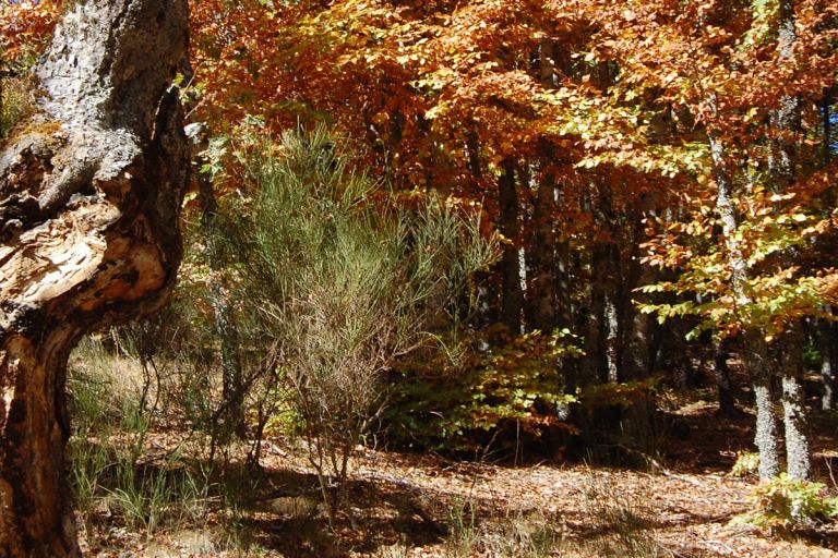 Entorno Valverde De Los Arroyos Alqueria 4