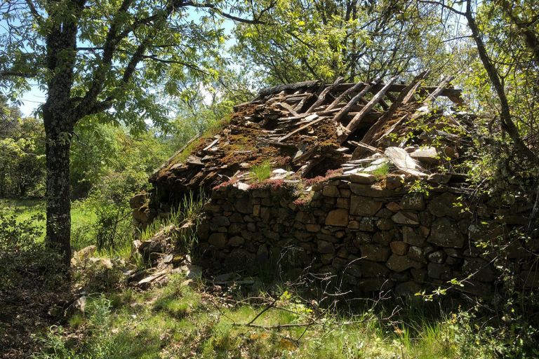 Entorno Valverde De Los Arroyos Alqueria 7