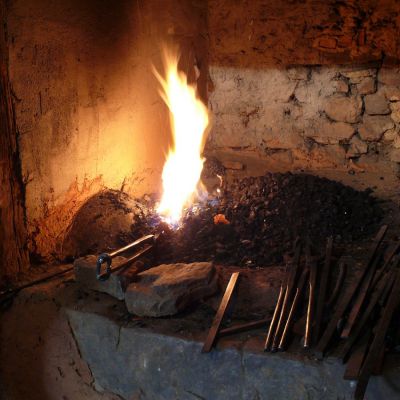 Actividades Toma Castanas para cocinar